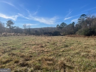 0 Julius Bridge Road Ball Ground, GA 30107 - Photo 2 of 11