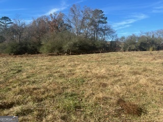 0 Julius Bridge Road Ball Ground, GA 30107 - Photo 4 of 11 a view of a yard