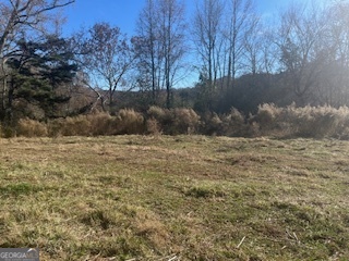 0 Julius Bridge Road Ball Ground, GA 30107 - Photo 5 of 11