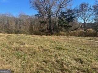 0 Julius Bridge Road Ball Ground, GA 30107 - Photo 6 of 11 a view of a yard with a tree