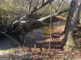 0 Julius Bridge Road Ball Ground, GA 30107 - Photo 7 of 11 a backyard of a house