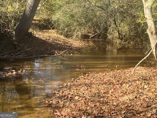 0 Julius Bridge Road Ball Ground, GA 30107 - Photo 8 of 11 a view of lake