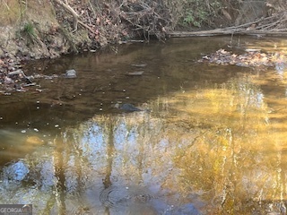 0 Julius Bridge Road Ball Ground, GA 30107 - Photo 9 of 11 a view of lake