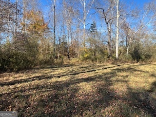 0 Julius Bridge Road Ball Ground, GA 30107 - Photo 10 of 11 a view of outdoor space