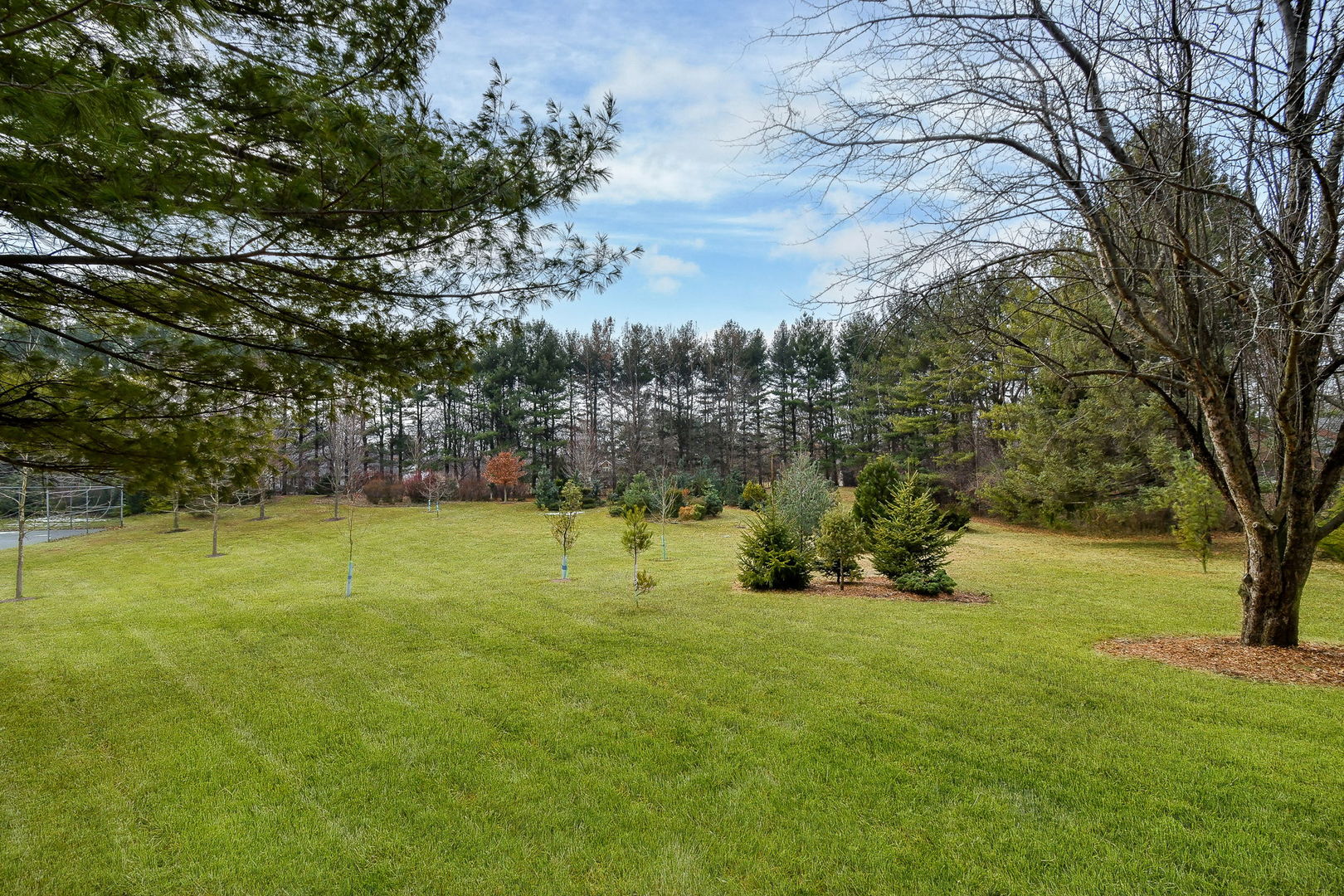 41W471 Forest Lane Elburn, IL 60119 - Photo 66 of 97