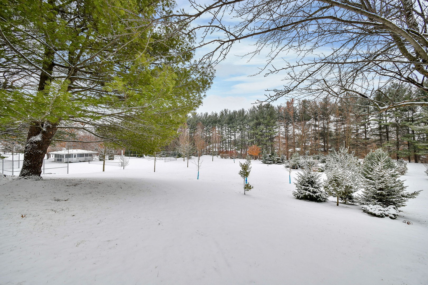 41W471 Forest Lane Elburn, IL 60119 - Photo 89 of 97