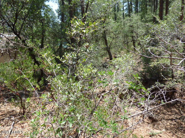 3944 Orloff Road, Unit 349 Pine, AZ 85544 - Photo 9 of 13 Gallery Image 9