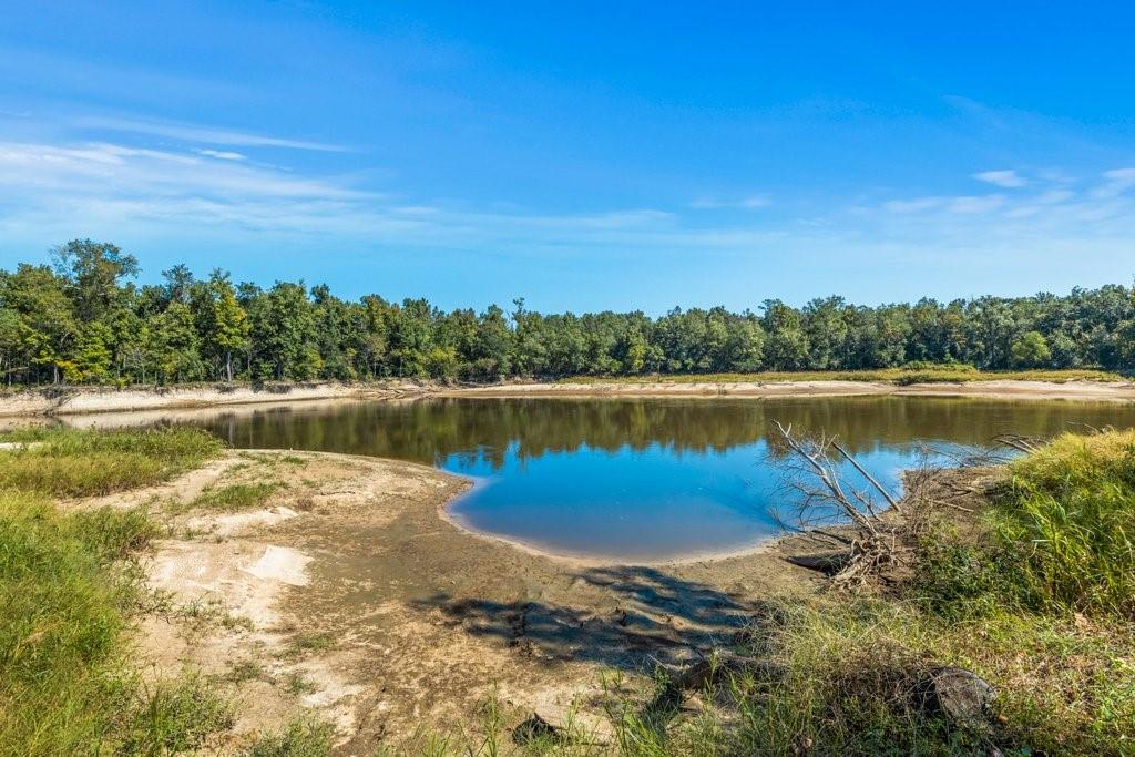 1488 Robert Clark Road Starks, LA 70661 - Photo 4 of 20