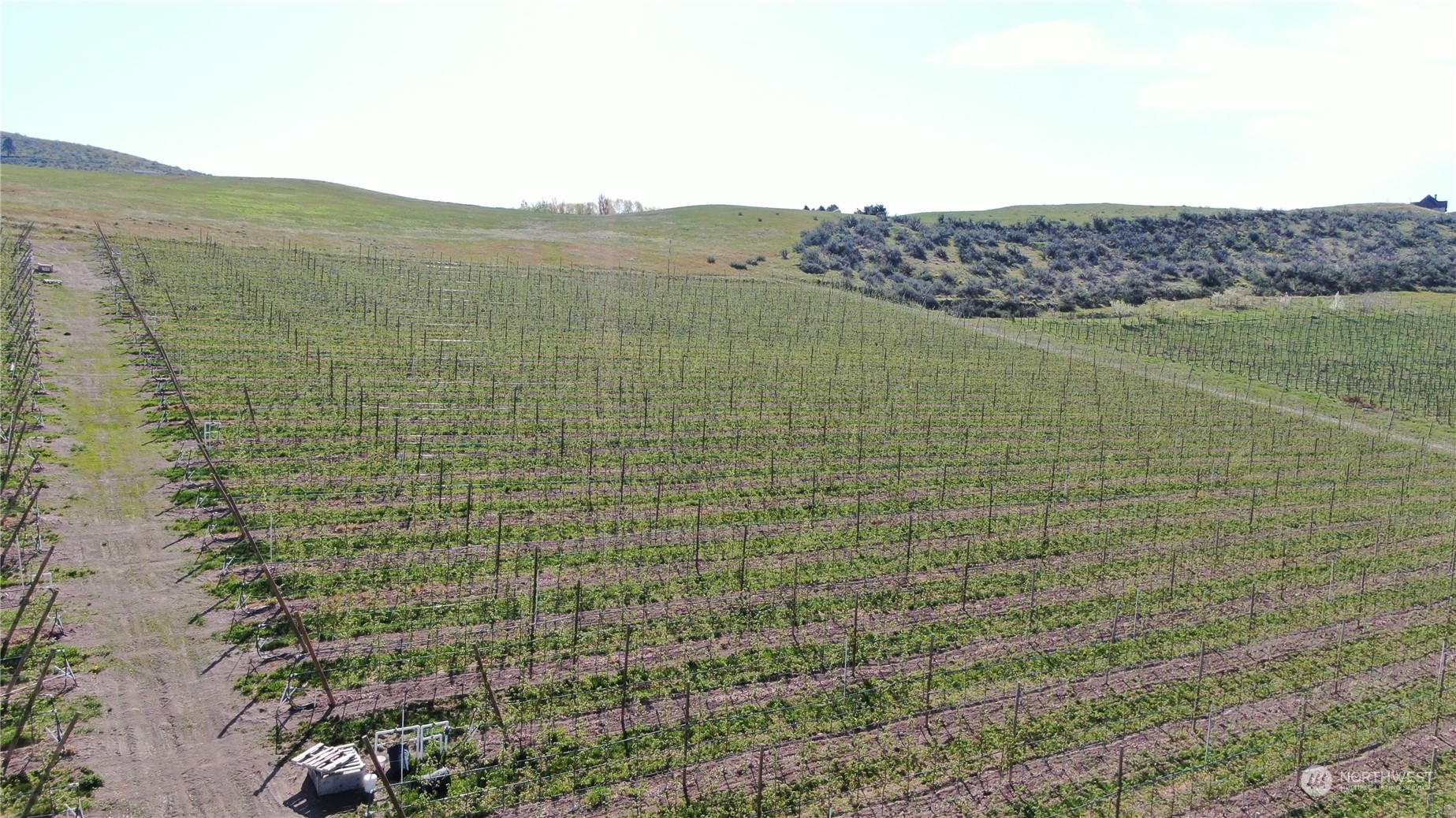 -xxx Templin Road Manson, WA 98831 - Photo 8 of 12