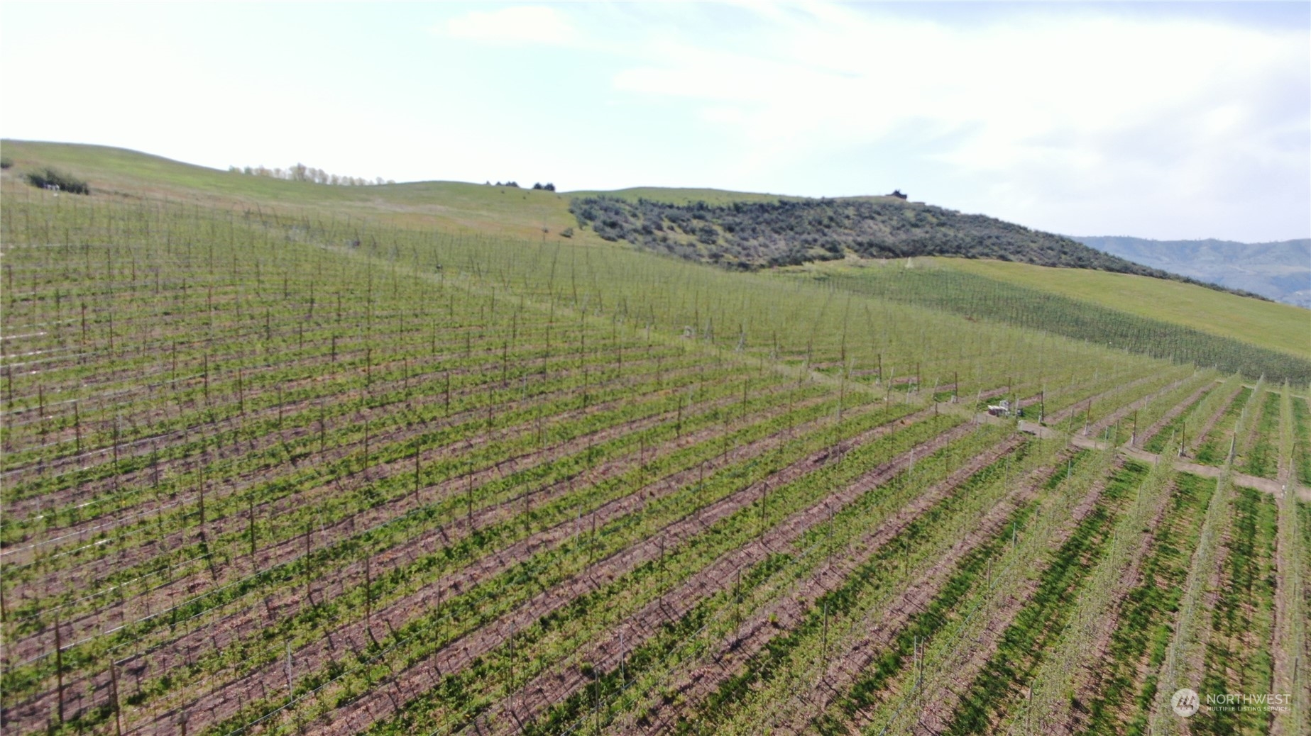 -xxx Templin Road Manson, WA 98831 - Photo 9 of 12 a view of lake and mountain