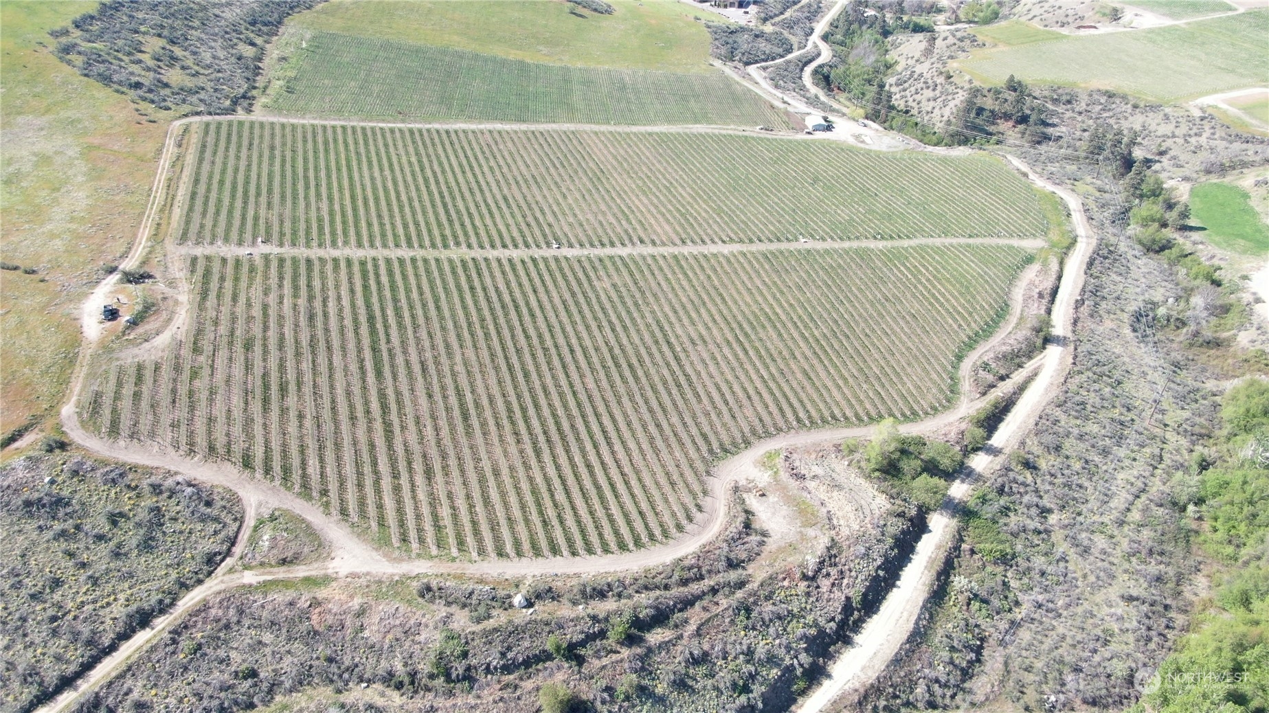 -xxx Templin Road Manson, WA 98831 - Photo 10 of 12 a view of a bird bath