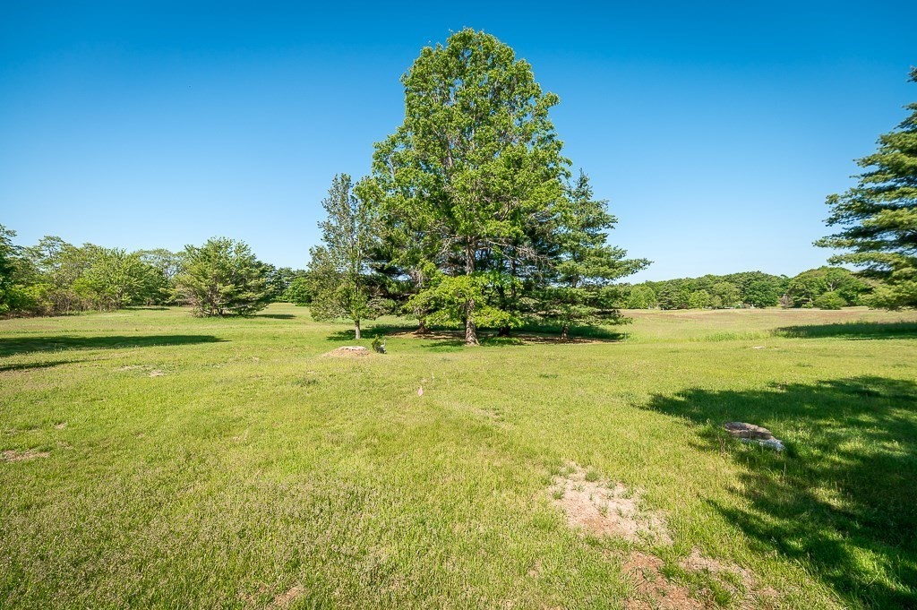 466 Bridge Street Hamilton, MA 01982 - Photo 28 of 40 a yard with swimming pool and green space