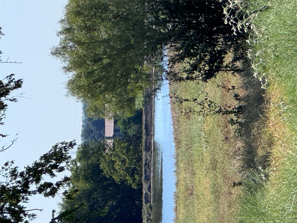 939 Knape Road La Grange, TX 78945 - Photo 36 of 37 Water view with a forest