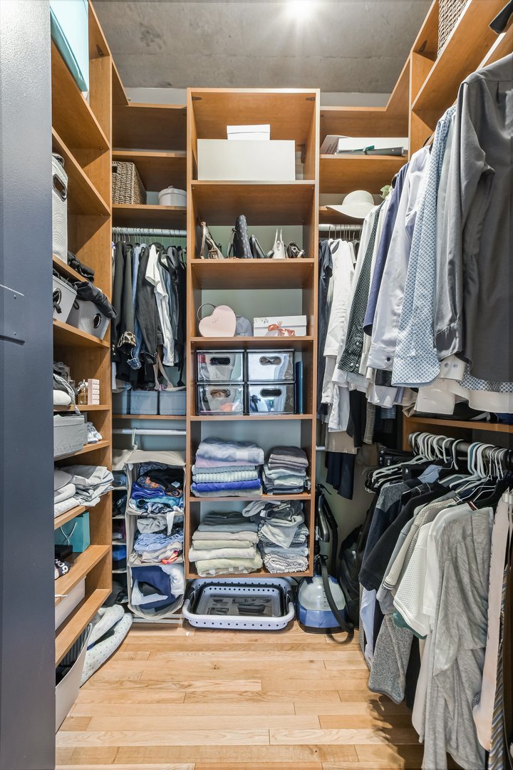 1720 South Michigan Avenue, Unit 308 Chicago, IL 60616 - Photo 11 of 23 a view of walk in closet with clothes and shoes