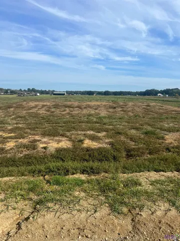 $169,900 | Lot # Buddy Gore Road, Gonzales, LA 70737