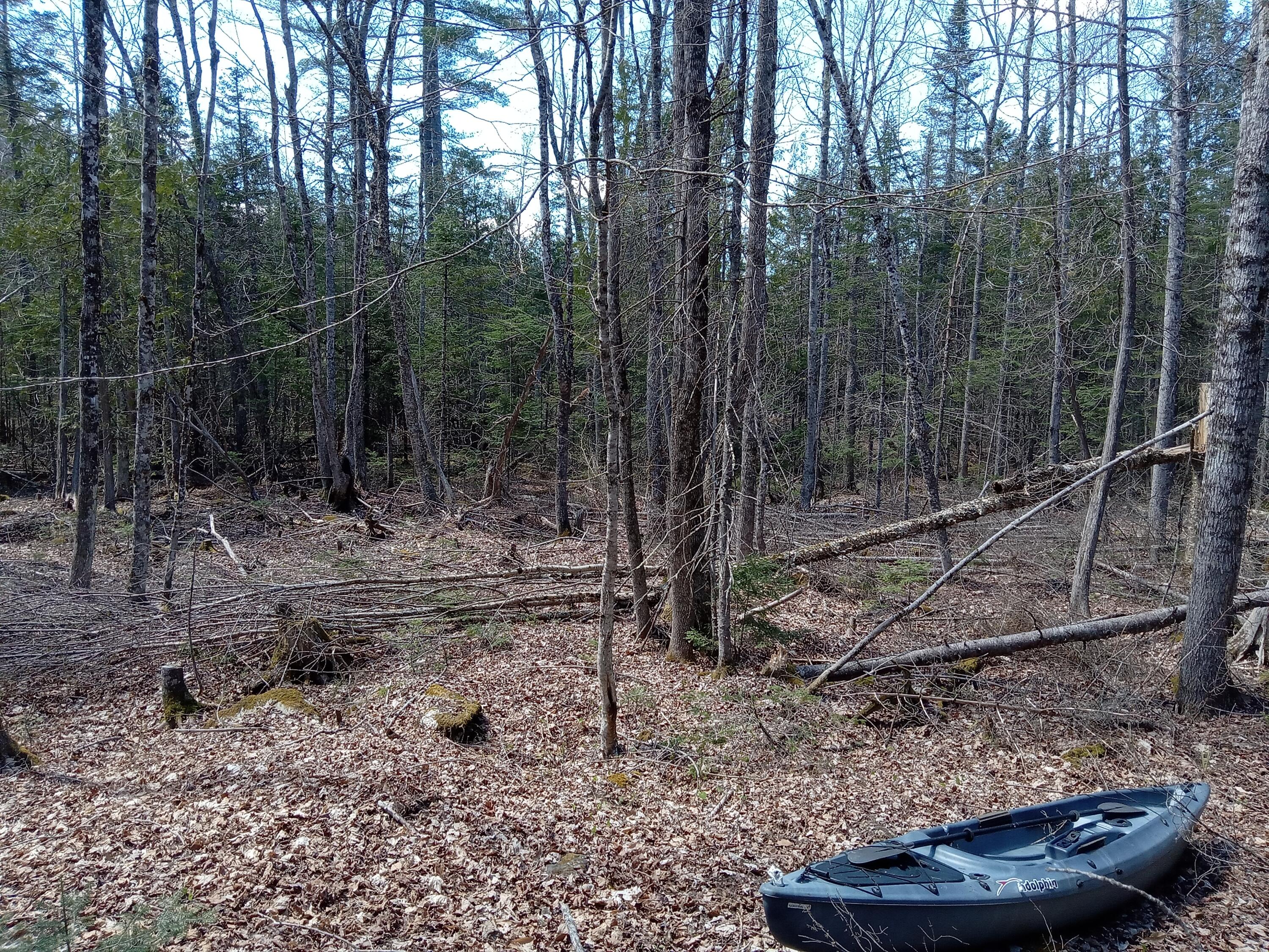 132 Village Road Jackson, ME 04921 - Photo 12 of 43 20240507_134152