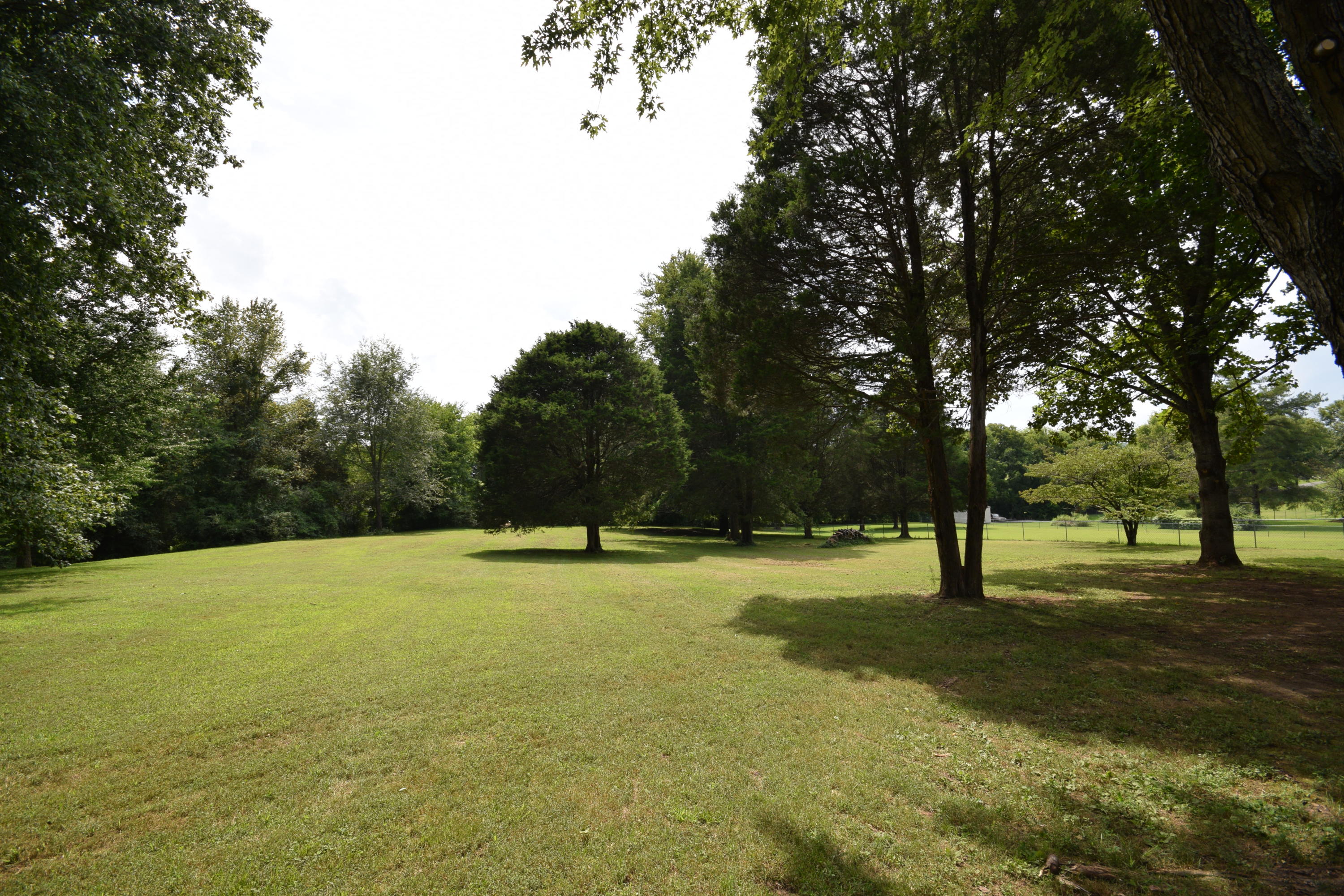 7113 Regency Road Knoxville, TN 37931 - Photo 19 of 20 DSC_2255