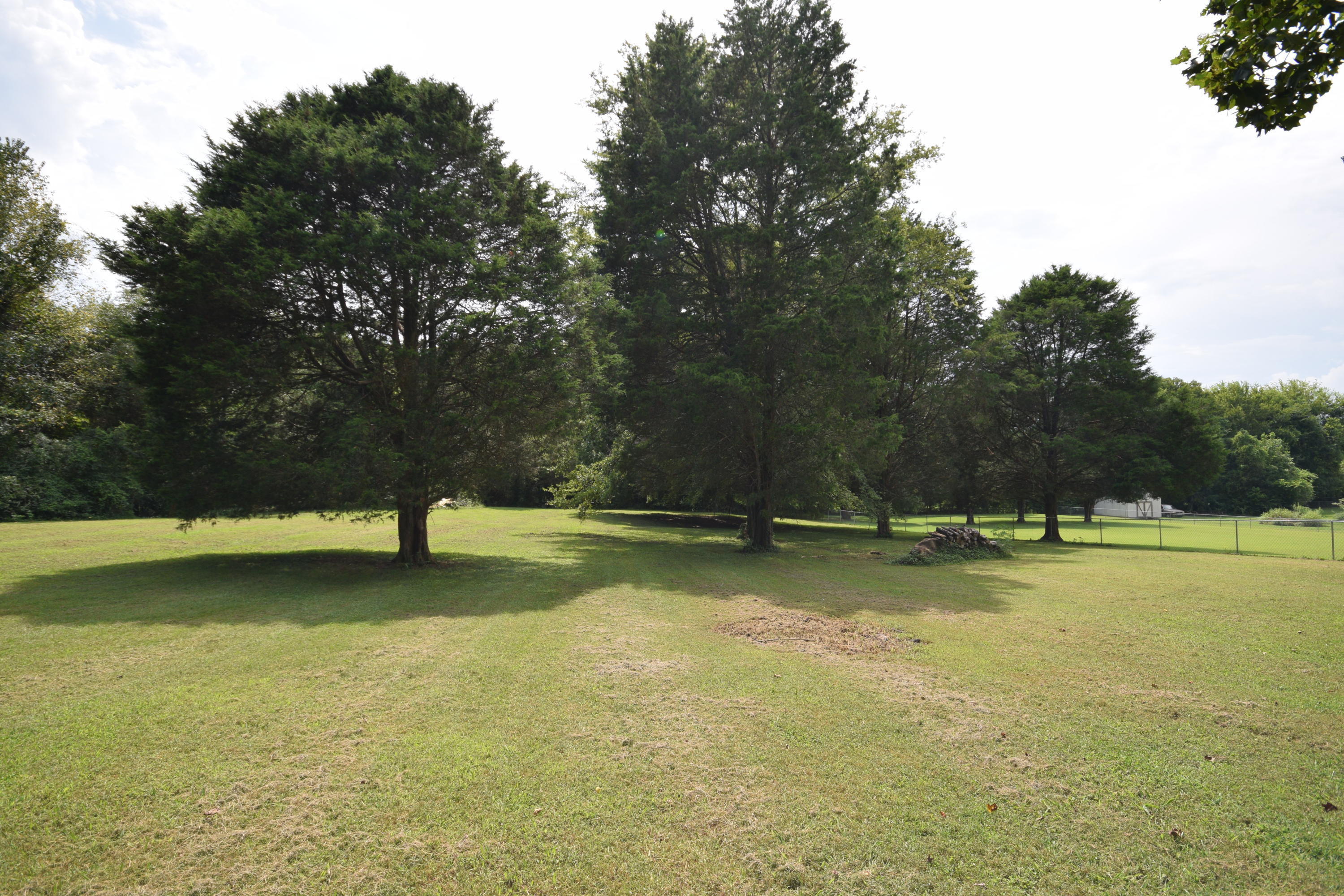 7113 Regency Road Knoxville, TN 37931 - Photo 20 of 20 DSC_2257