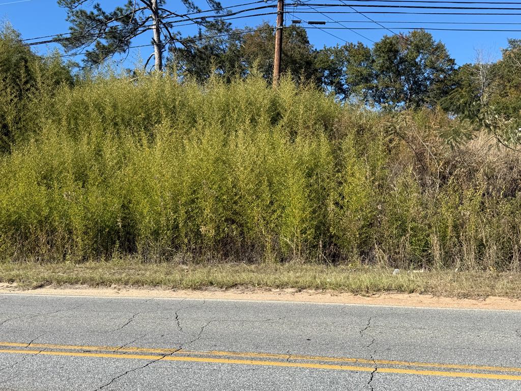 4113 Warm Springs Road Columbus, GA 31909 - Photo 1 of 2 Main View