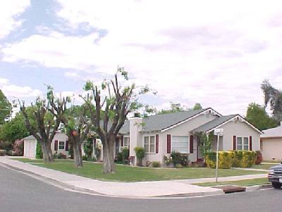1079 Cyrier Avenue Reedley, CA 93654 - Photo 1 of 1