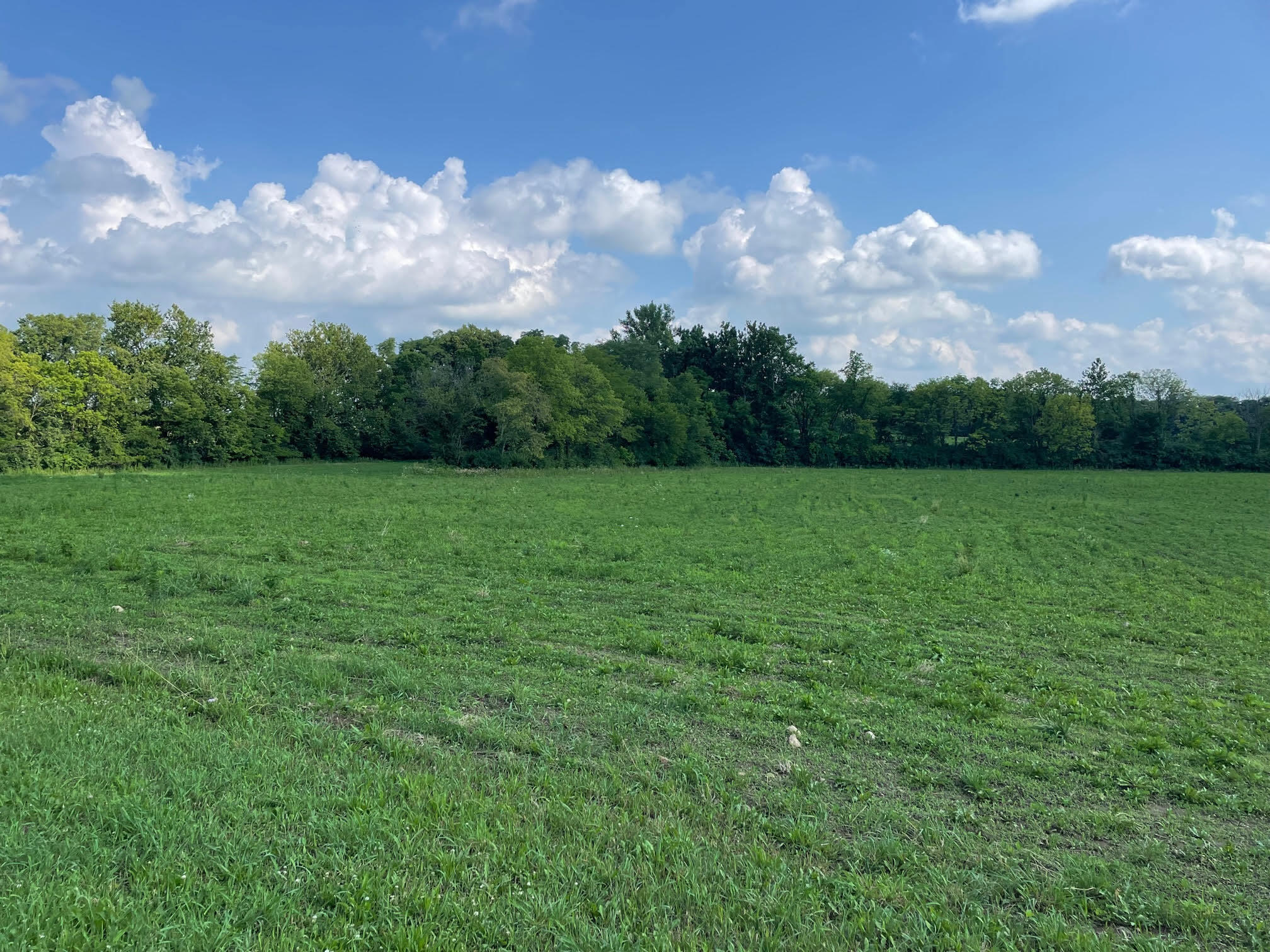 0 Cowpath Road New Carlisle, OH 45344 - Photo 3 of 4