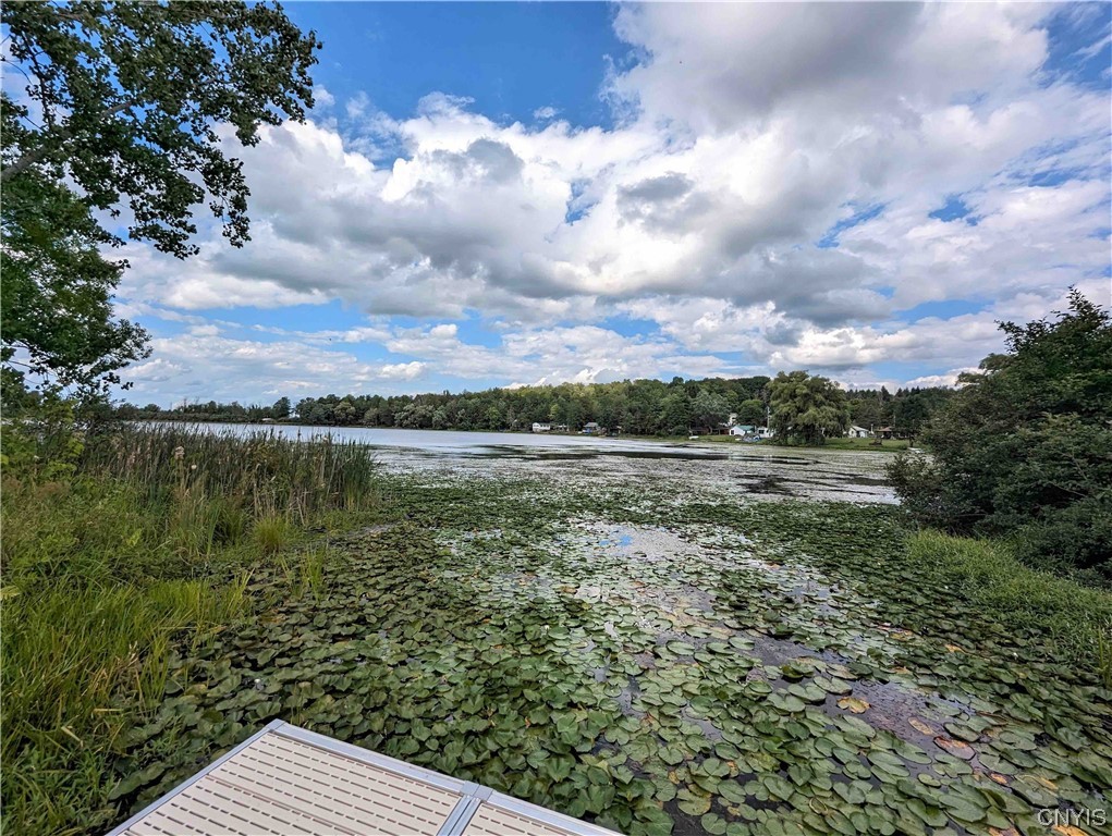 4666 Fox Road Avoca, NY 14809 - Photo 39 of 42