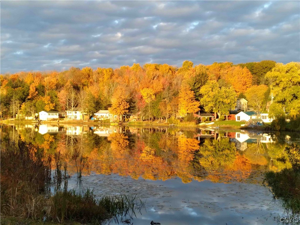 4666 Fox Road Avoca, NY 14809 - Photo 40 of 42