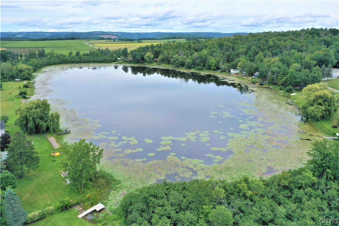 4666 Fox Road Avoca, NY 14809 - Photo 4 of 42