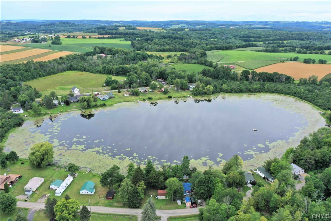 4666 Fox Road Avoca, NY 14809 - Photo 5 of 42