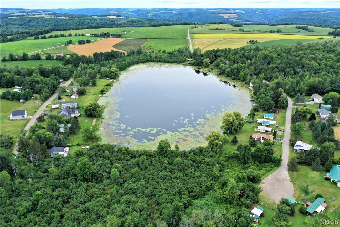 4666 Fox Road Avoca, NY 14809 - Photo 6 of 42