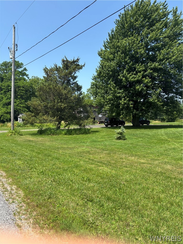 12114 Meahl Road Newstead, NY 14001 - Photo 26 of 36 Front yard