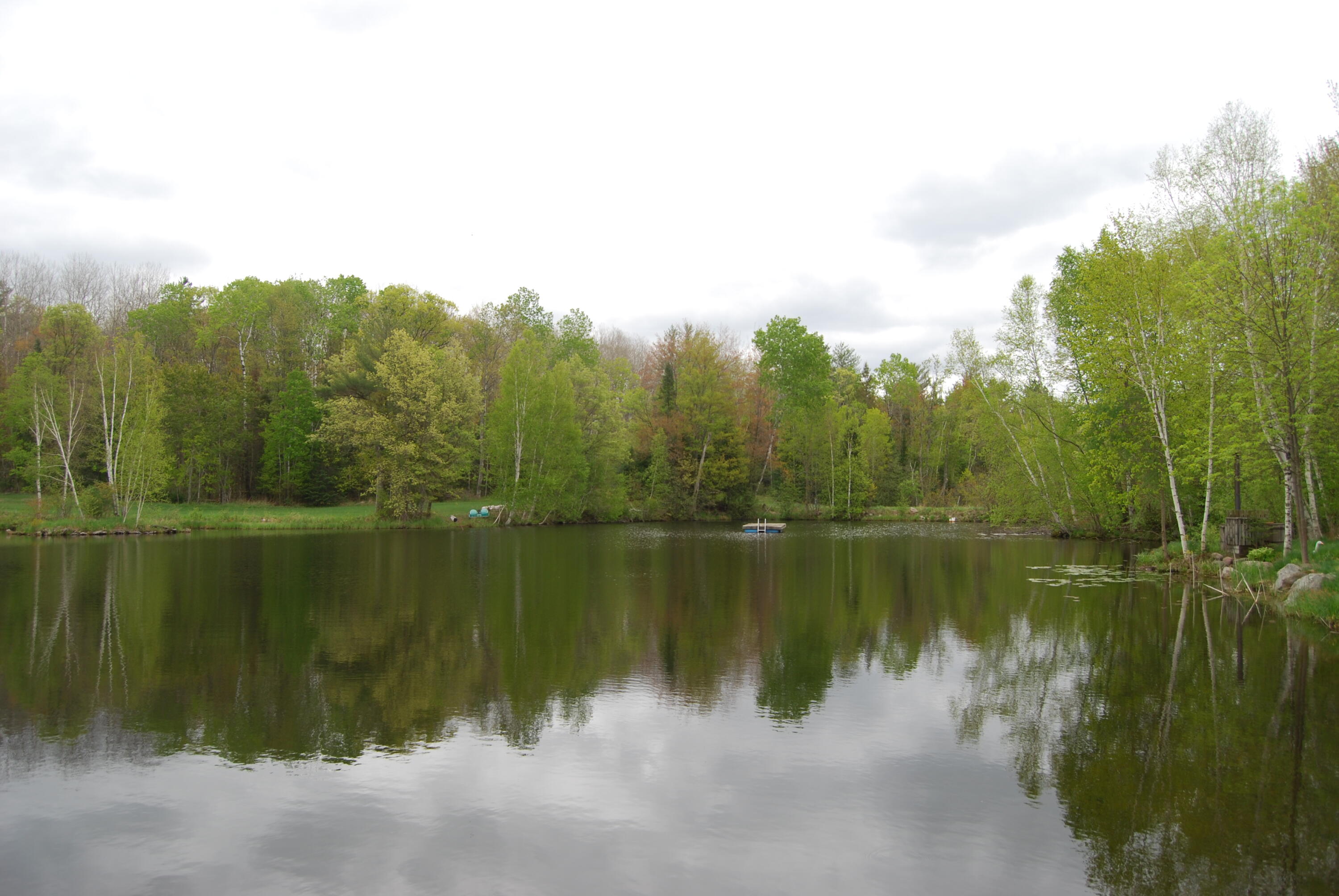 N11502 Nelson Road Athelstane, WI 54177 - Photo 43 of 77 3 ponds