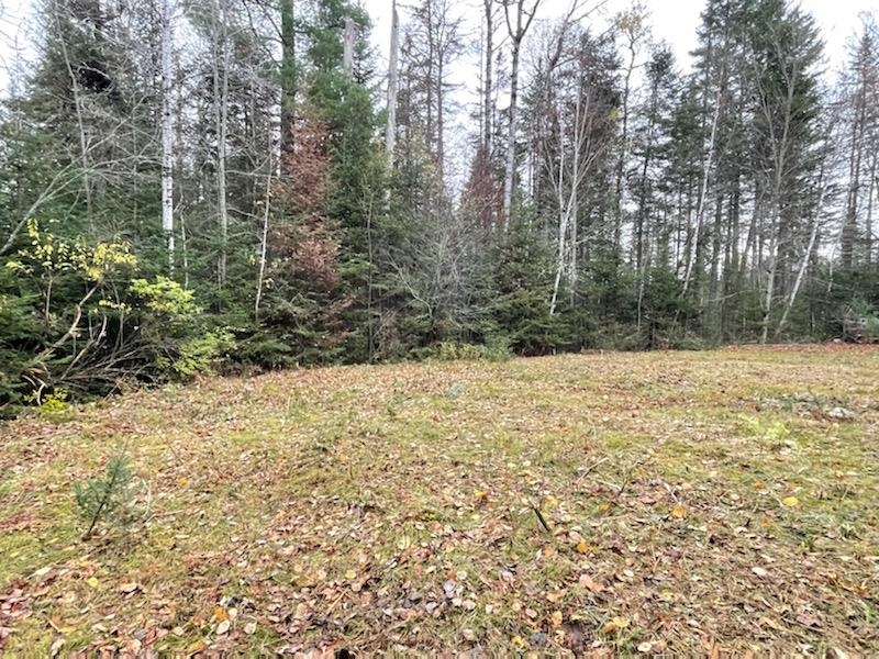 547 Lancaster Road Whitefield, NH 03598 - Photo 13 of 18