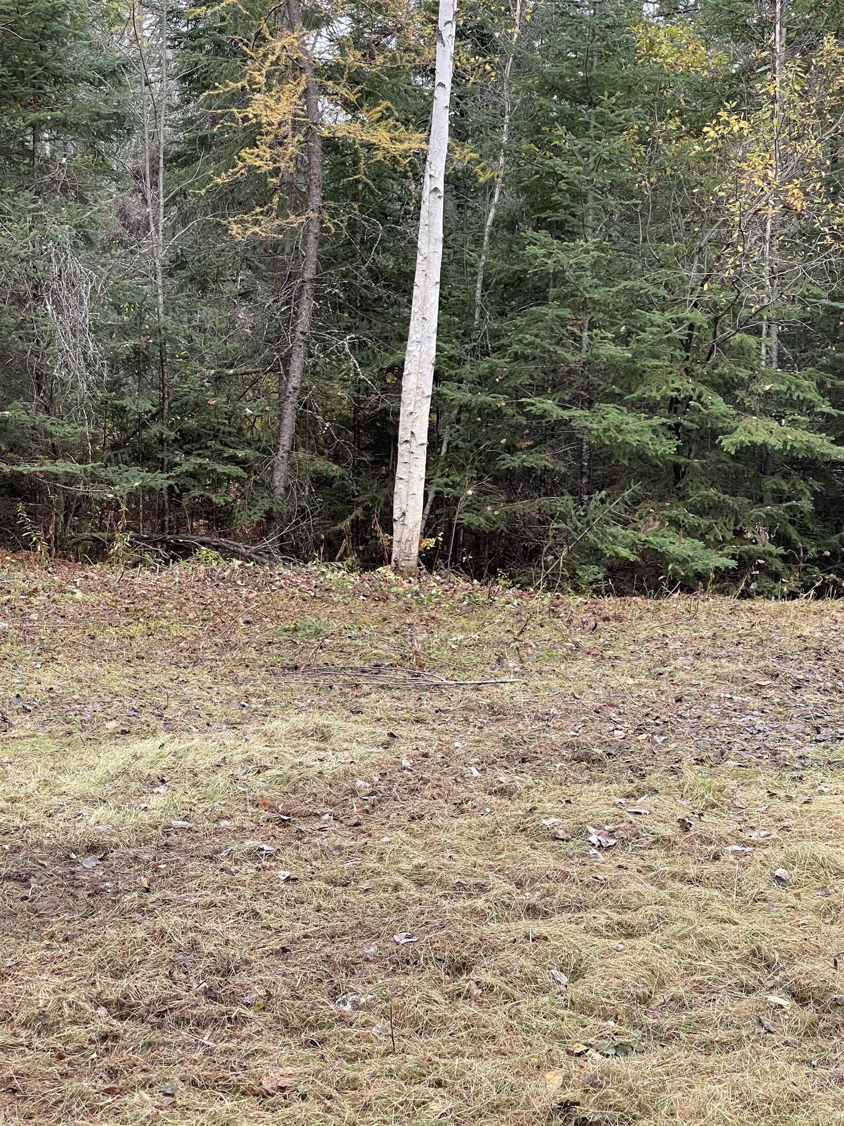 547 Lancaster Road Whitefield, NH 03598 - Photo 16 of 18