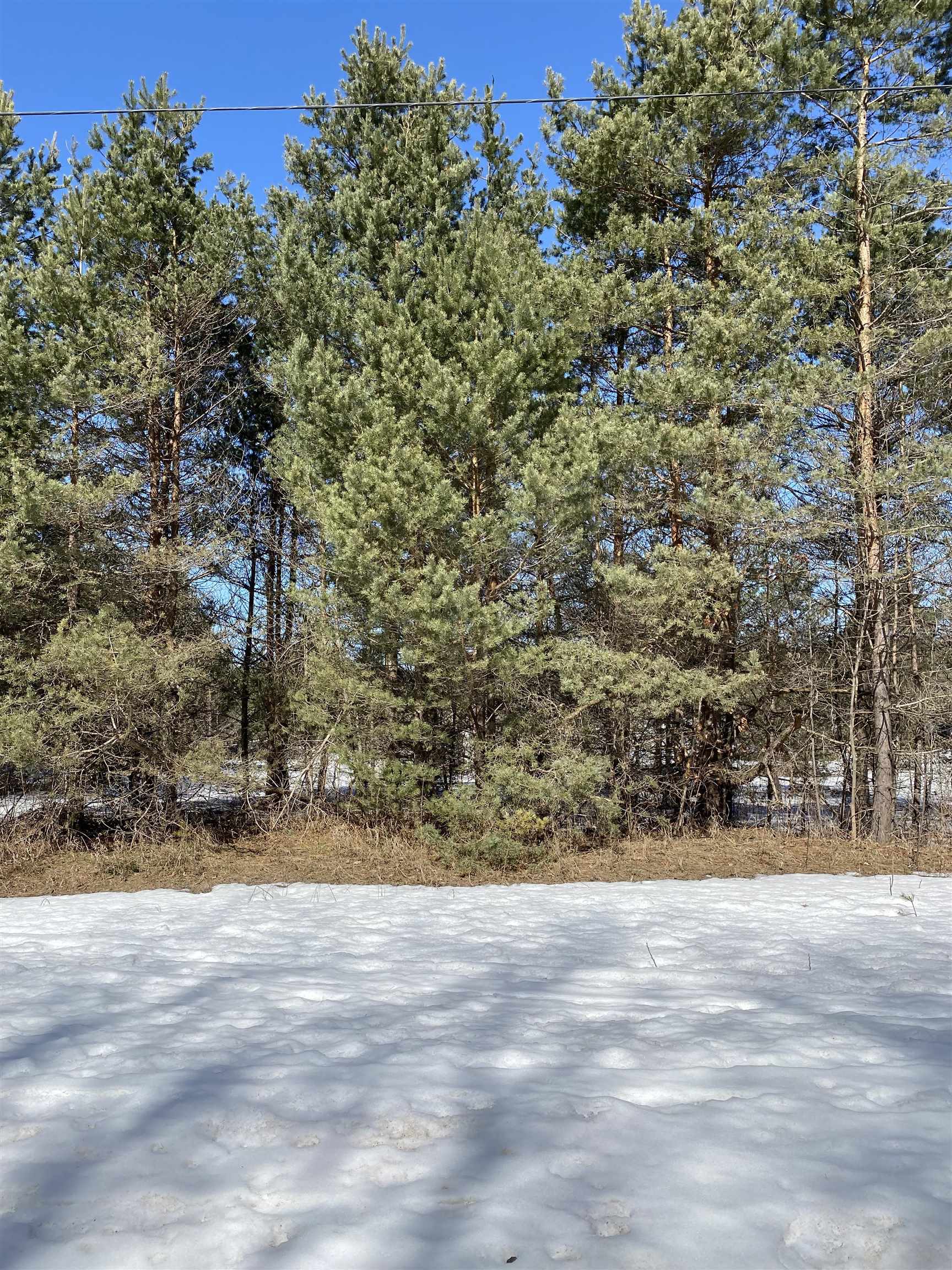 5957 State Road Kalkaska, MI 49646 - Photo 8 of 12 Gallery Image 8
