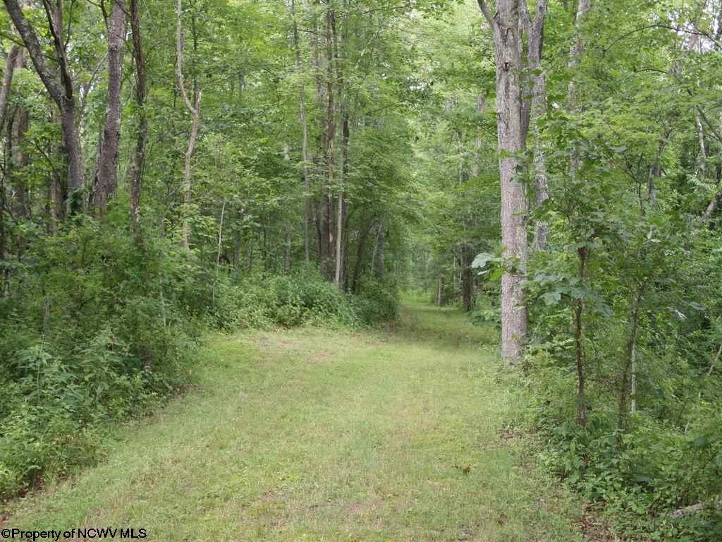 3325 Pike Road Ellenboro, WV 26346 - Photo 20 of 20 Gallery Image 20