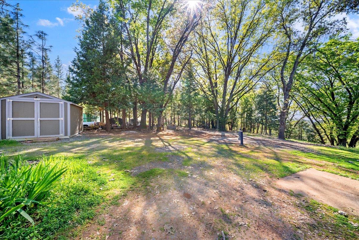 21465 Mason Road Colfax, CA 95713 - Photo 26 of 33 a view of a house with backyard and a tree