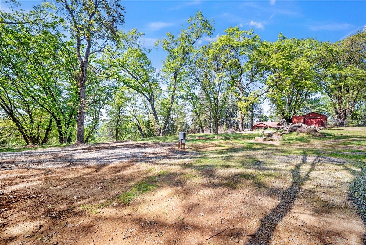 21465 Mason Road Colfax, CA 95713 - Photo 27 of 33 a view of yard with swimming pool and trees
