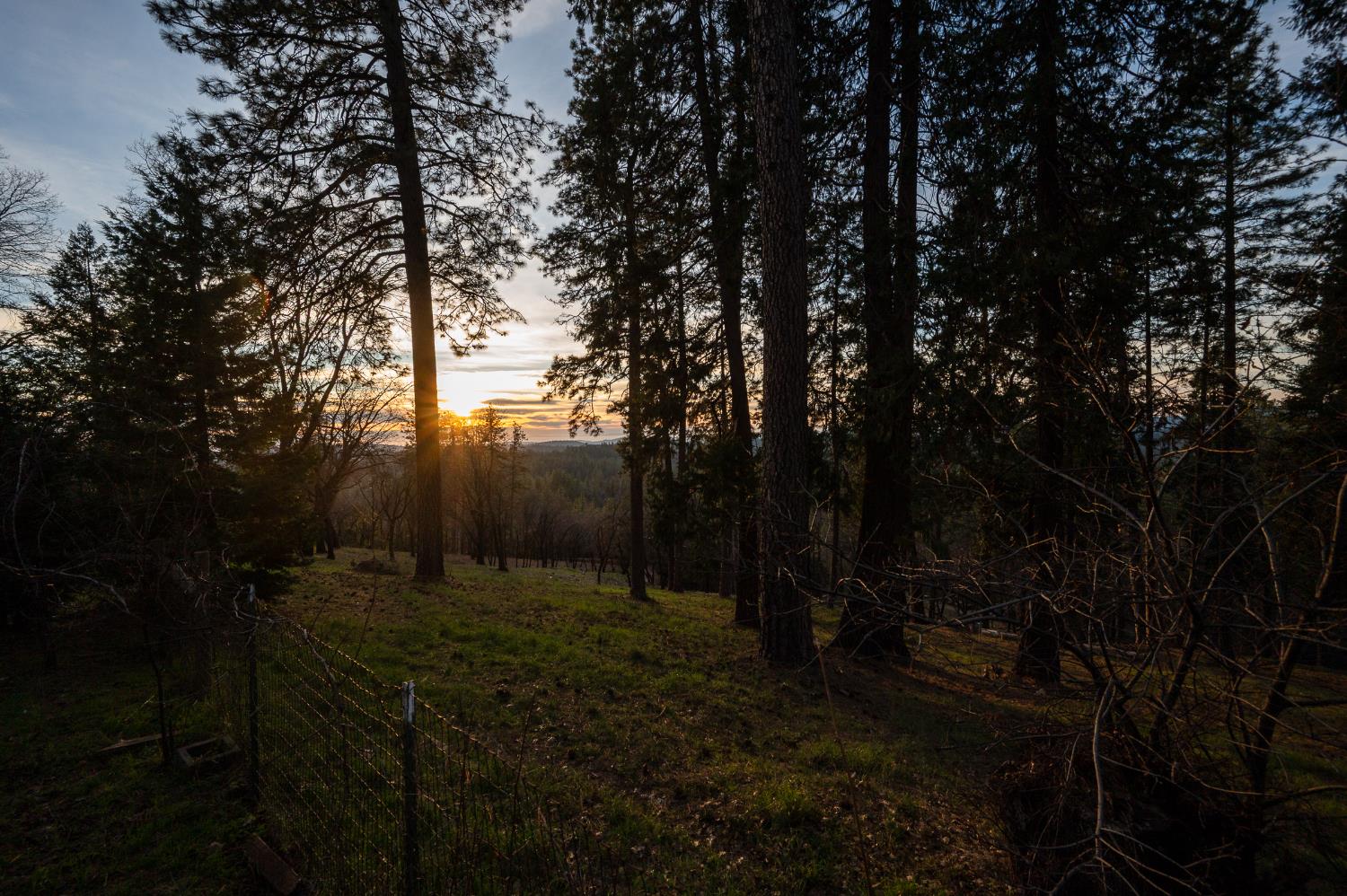 21465 Mason Road Colfax, CA 95713 - Photo 31 of 33 a view of outdoor space and yard