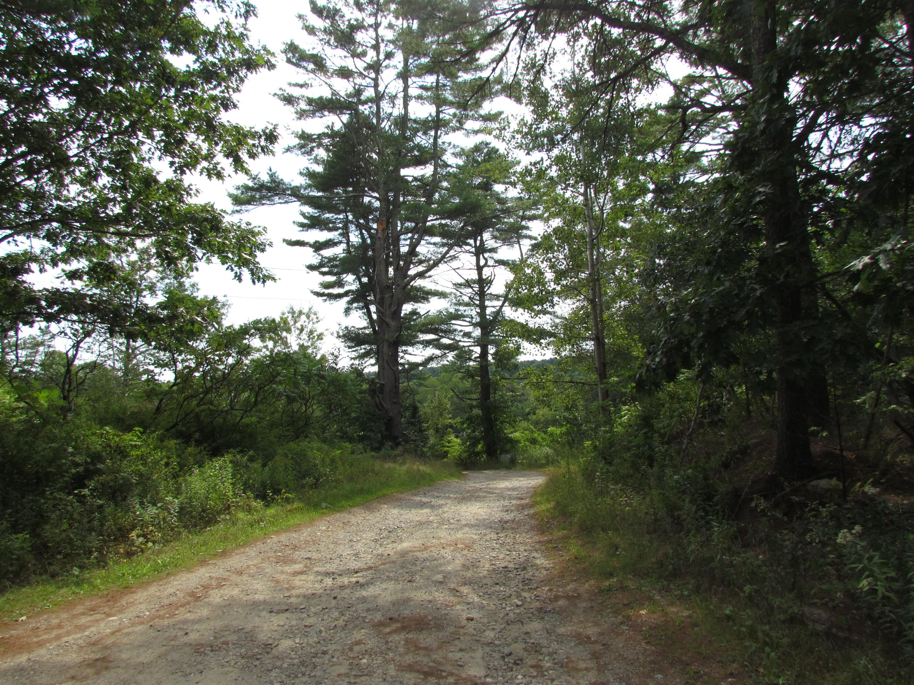 100 Campbell Hill Road Waldoboro, ME 04572 - Photo 13 of 13 IMG_9762