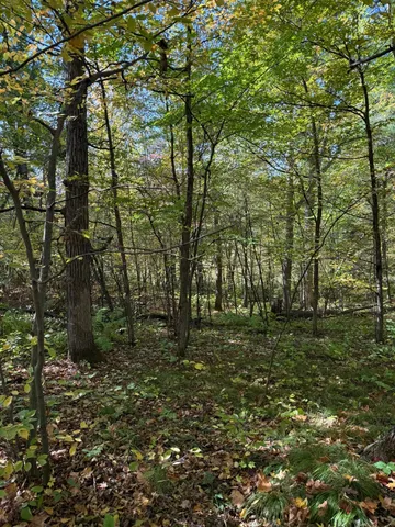 $259,000 | 8 Beaver Twp Wi 54889, Turtle Lake, WI 54889