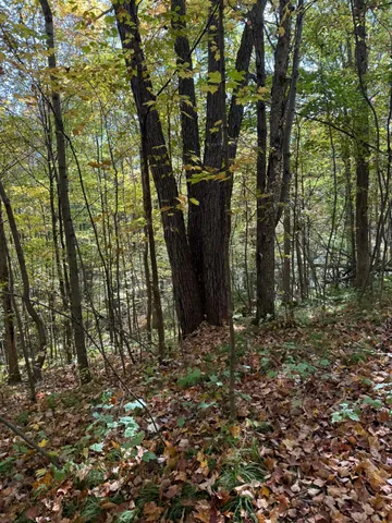 $219,000 | 8 Beaver Twp Wi 54889, Turtle Lake, WI 54889