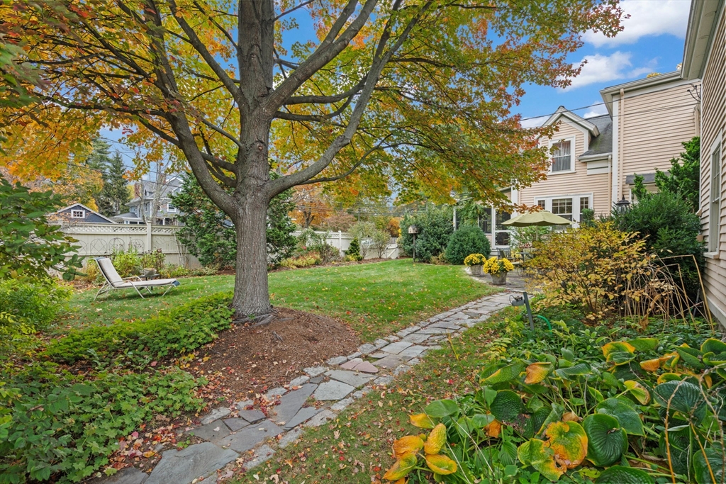 167 Court Street Dedham, MA 02026 - Photo 37 of 42 a view of a garden with trees