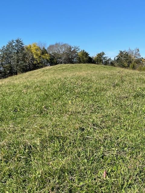 0 McCarter Hollow Road Sevierville, TN 37862 - Photo 7 of 17