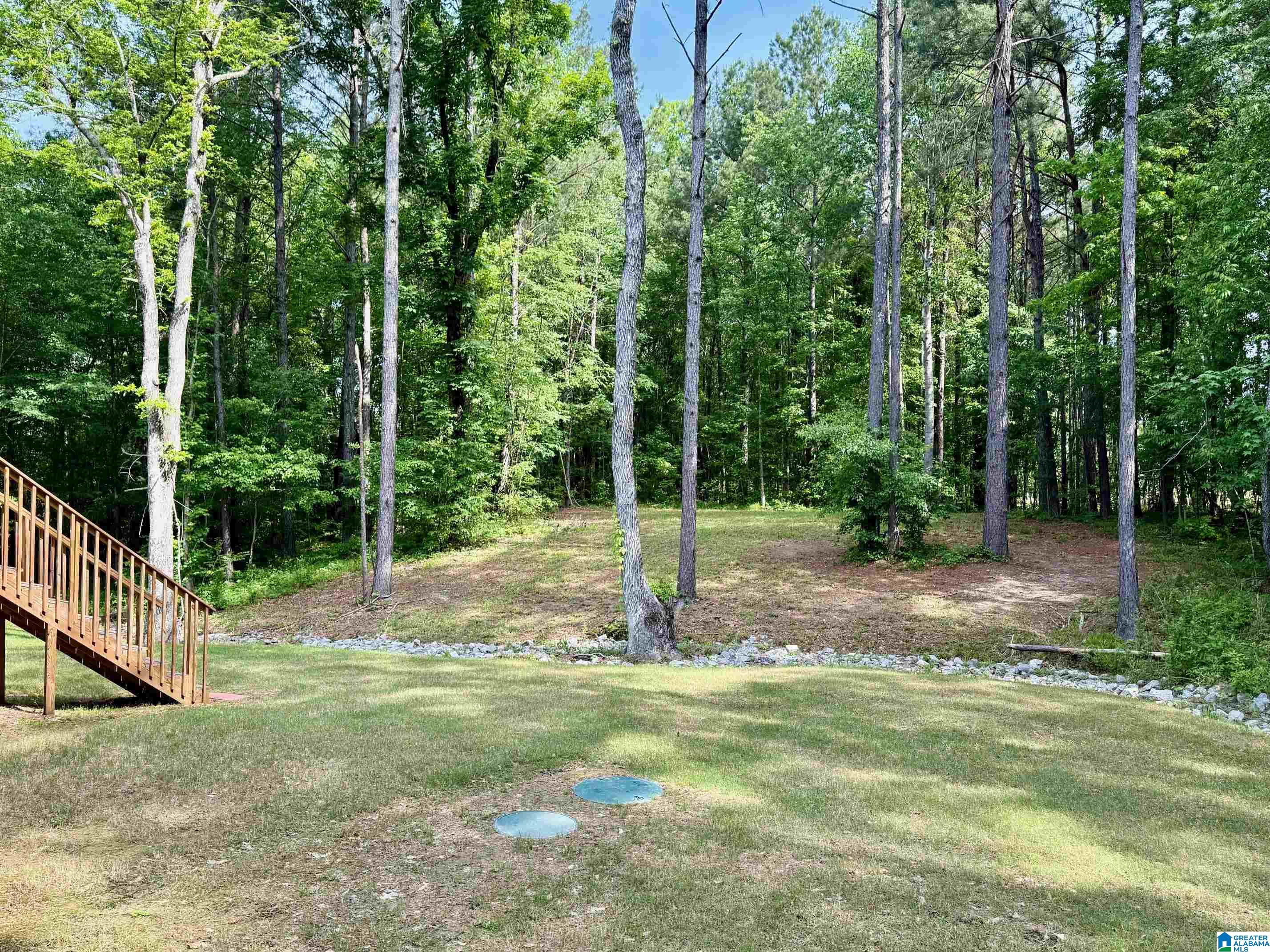 55 Barbara Ellen Road Leeds, AL 35094 - Photo 4 of 24