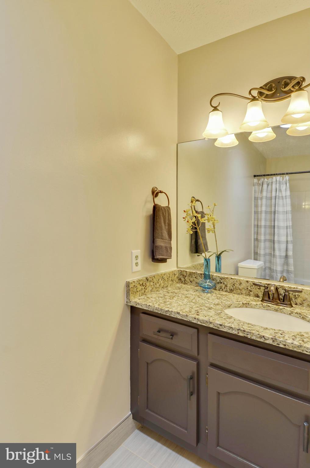 1922 Buckthorn Lane Reston, VA 20191 - Photo 20 of 30 a bathroom with a granite countertop sink and a mirror