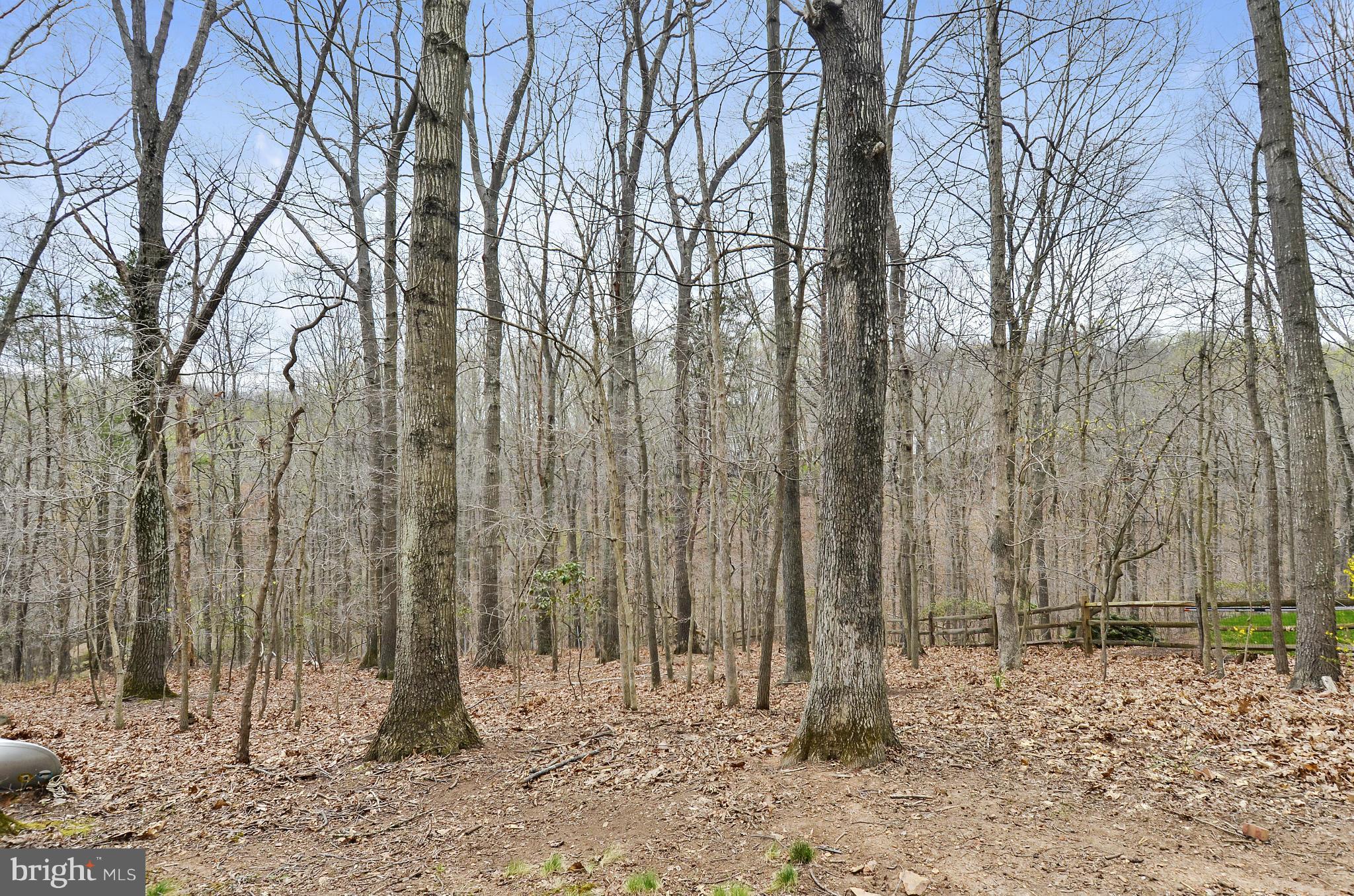 1922 Buckthorn Lane Reston, VA 20191 - Photo 26 of 30 a view of a backyard of the house