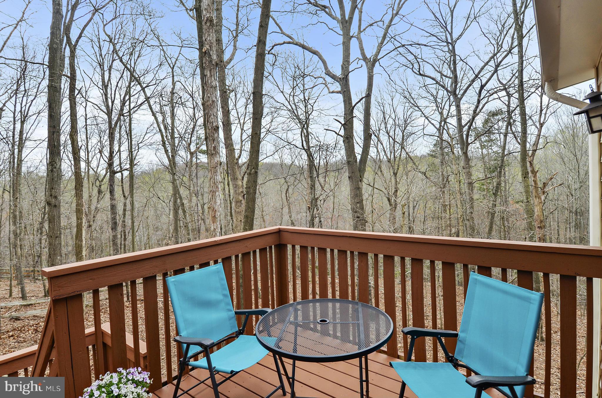 1922 Buckthorn Lane Reston, VA 20191 - Photo 10 of 30 a view of a two chairs and table in the balcony