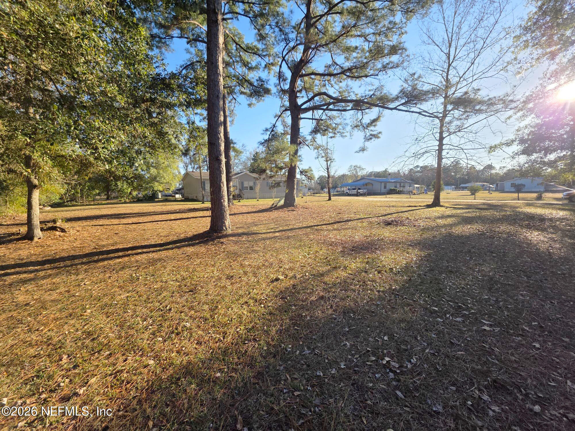 44680 Artesian Boulevard Callahan, FL 32011 - Photo 7 of 47 Front Yard