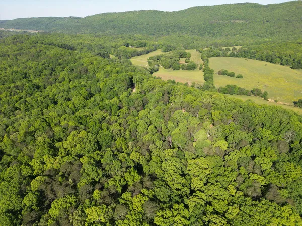 $399,900 | 1140 County Road 797, Valley Head, AL 35989